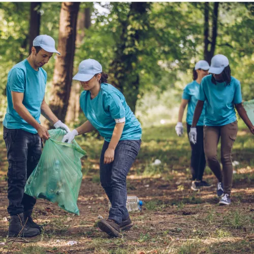 People picking up trash in a forest